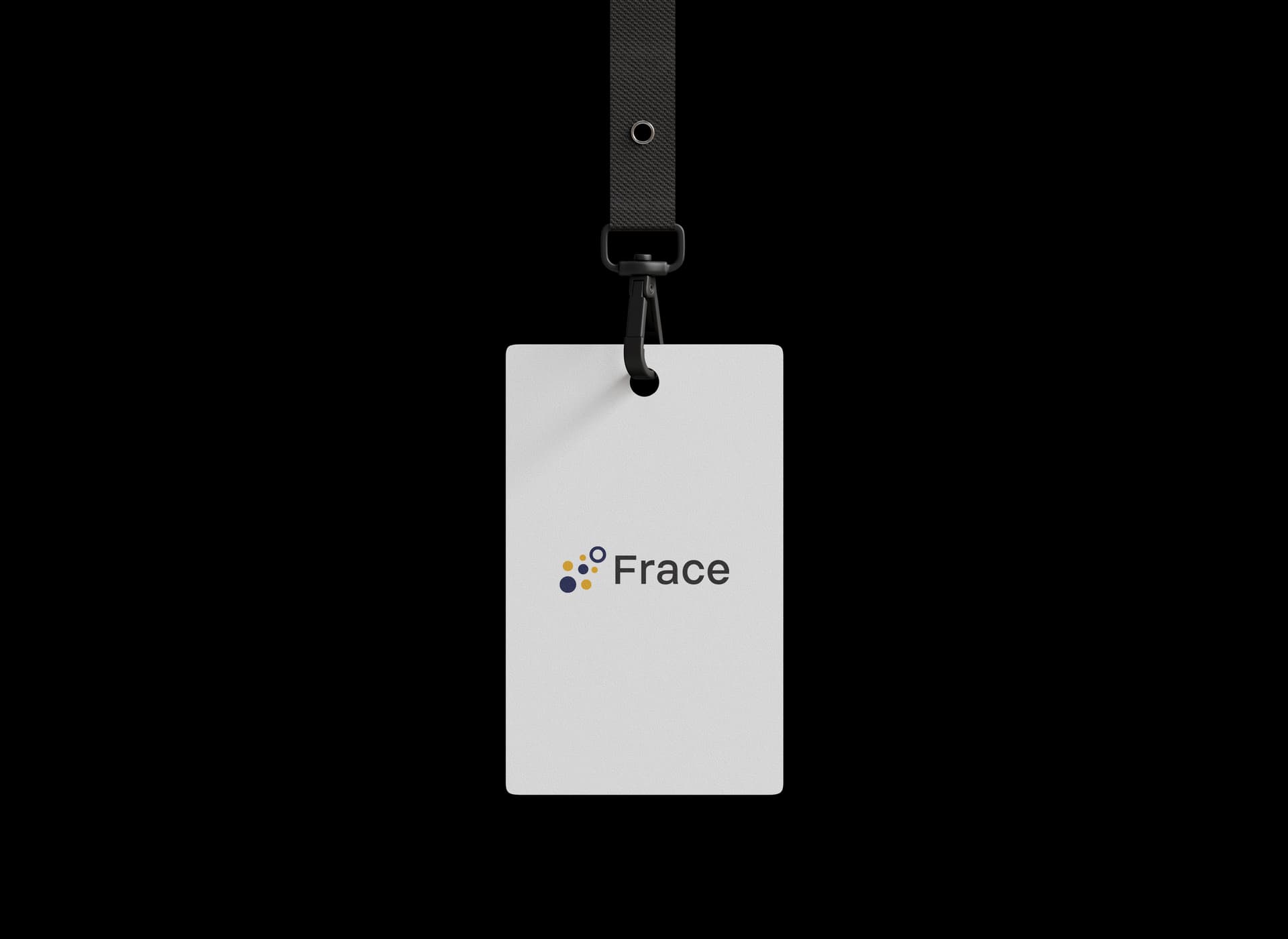 FRACE — visual 4